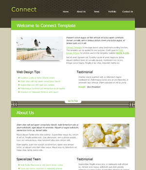 网页攻击器教程